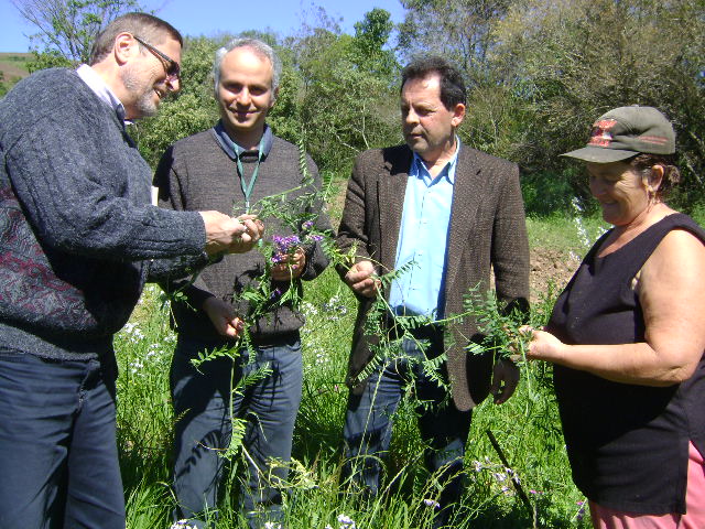 Segredo/2014 - Cobertura vegetal do solo no inverno. Coordenação do Programa, Coordenador Regional da SEAPA e agricultora.