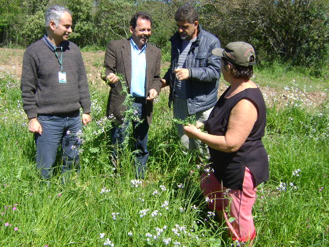 Segredo/2014 - Cobertura vegetal do solo no inverno. Coordenação do Programa, Coordenador Regional da SEAPA, Técnico Municipal  e agricultora.