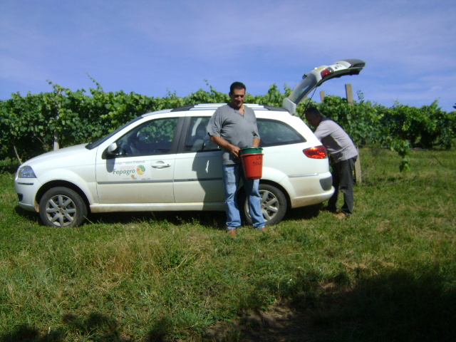 Vila Nova do Sul/2013 - Coleta de amostras de solo para monitoramento do Programa.